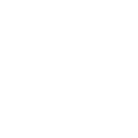 YouTube icon